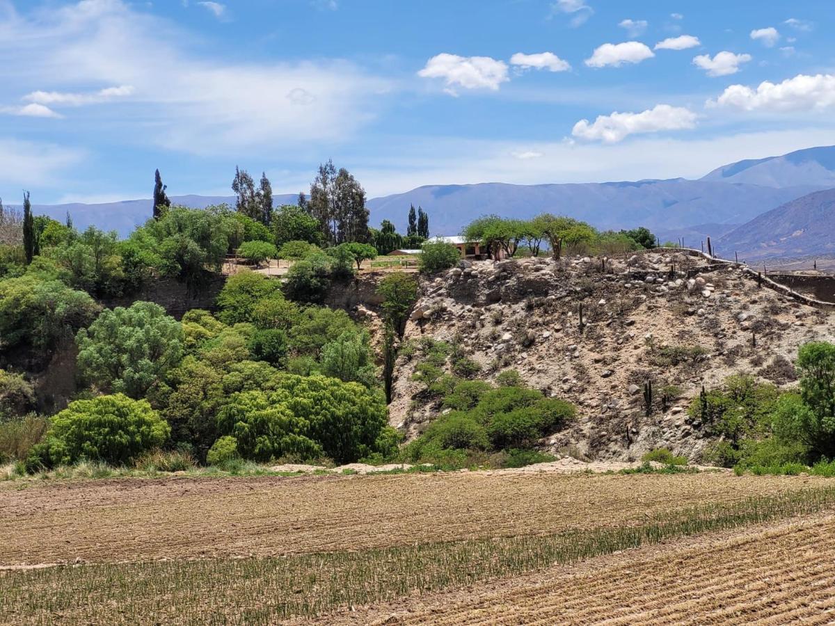 Casa De Campo Huaka Huasy Cachí Zewnętrze zdjęcie